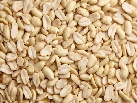 blached raw|What Are Blanched Peanuts .